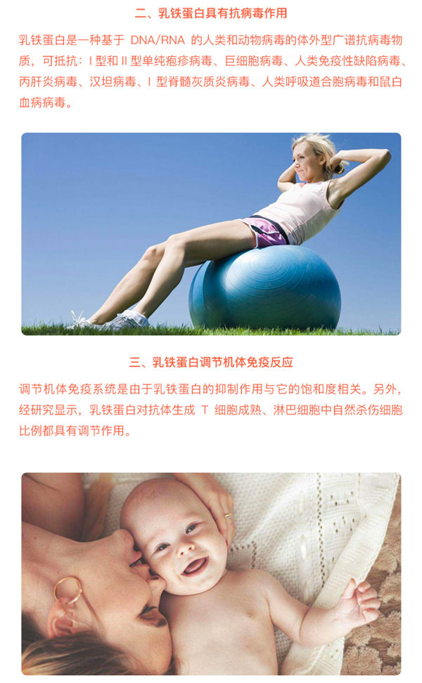 芙瑞諾康乳鐵蛋白粉介紹04.jpg