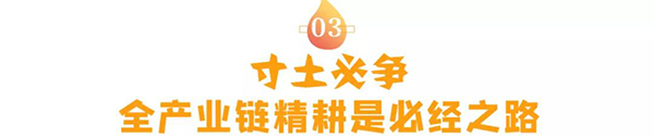 品牌集中化趨勢明顯4.jpg 品牌集中化趨勢明顯4.jpg