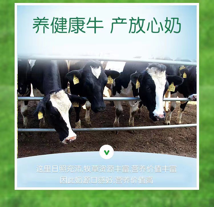 臻迪高正品兒童成長配方奶粉800g罐3歲起寶寶營養(yǎng)牛奶粉1.jpg