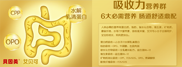 貝因美艾貝可超凡上市9.png