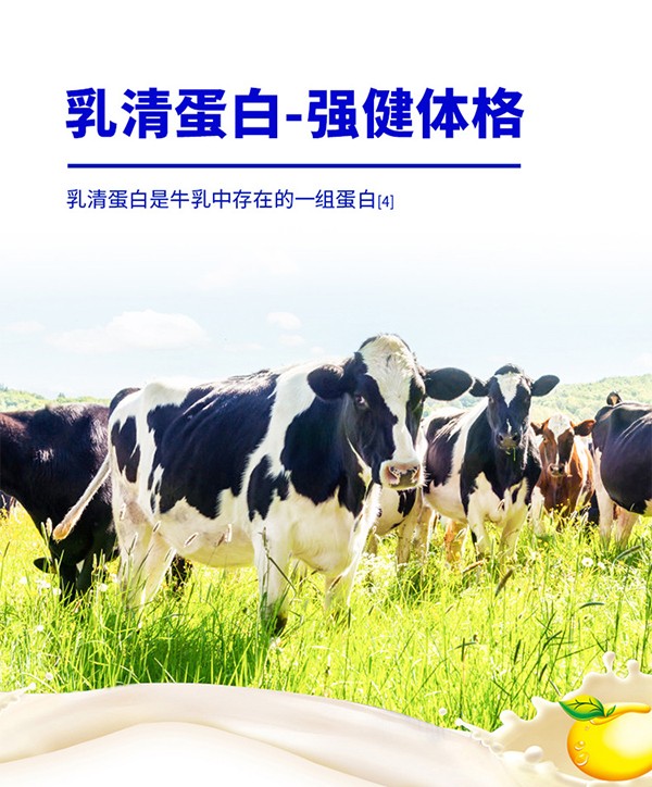 黃金搭檔卓悅蛋白粉詳情頁_06.jpg