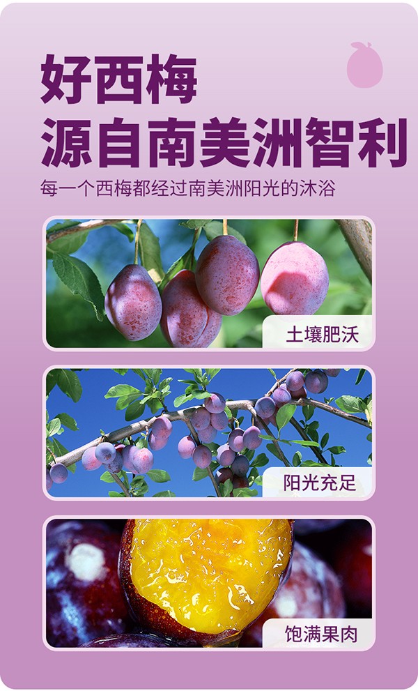 英貝健一健輕暢益生元西梅纖維果飲(小瓶玻璃裝) (3).jpg