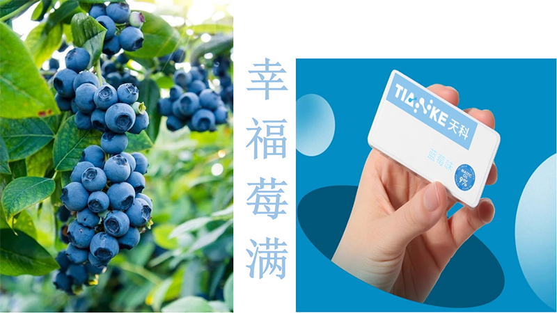 天科無糖清口爆珠 藍(lán)莓味.png 天科無糖清口爆珠 藍(lán)莓味.png