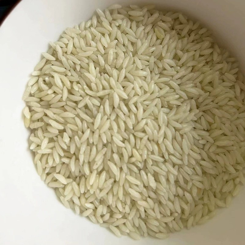 營養(yǎng)米系列 (4).jpg