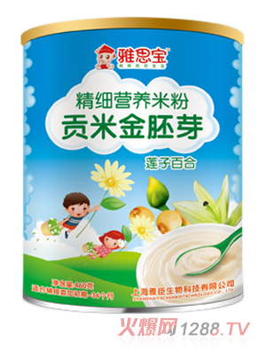 雅思寶蓮子百合貢米金胚芽營養(yǎng)米粉罐裝