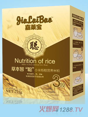 嘉萊寶小米核桃營養(yǎng)米粉